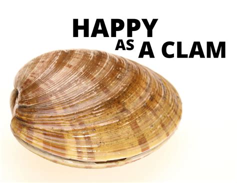 happy as a clam at high tide